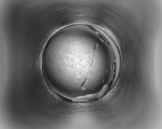 X0000088690862200705311155