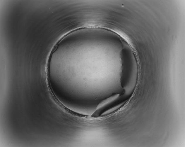 X0000088690864200705311155