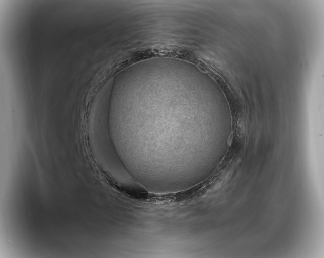 X0000088690865200705311155