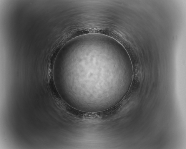X0000088690866200705311155