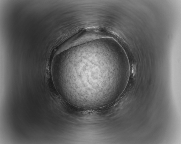 X0000088690867200705311155