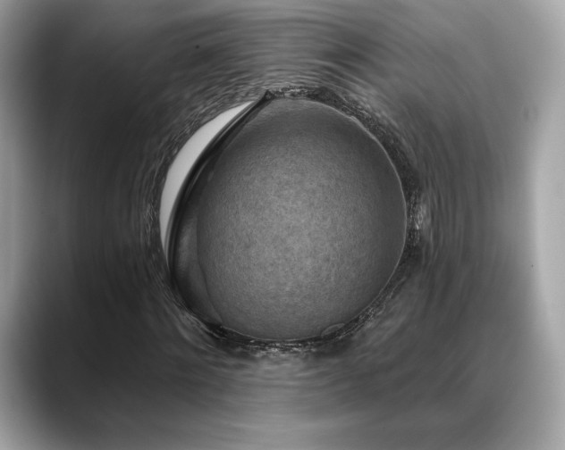 X0000088690868200705311155
