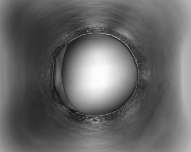 X0000088690869200705311155