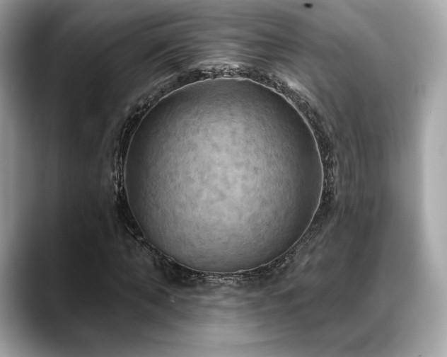 X0000088690870200705311155