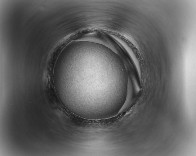X0000088690872200705311155