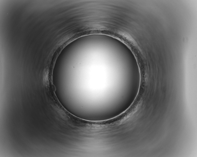 X0000088690873200705311155