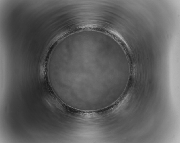 X0000088690874200705311155