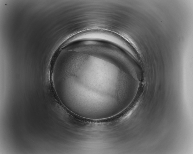 X0000088690877200705311155