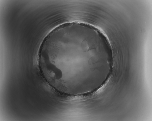 X0000088690879200705311155