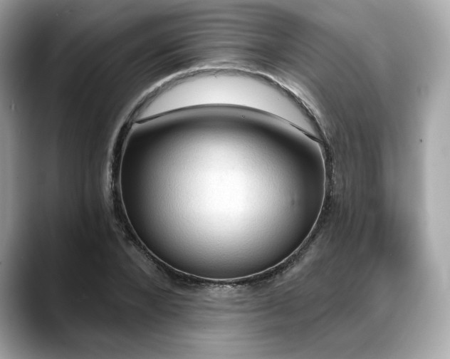 X0000088690880200705311155