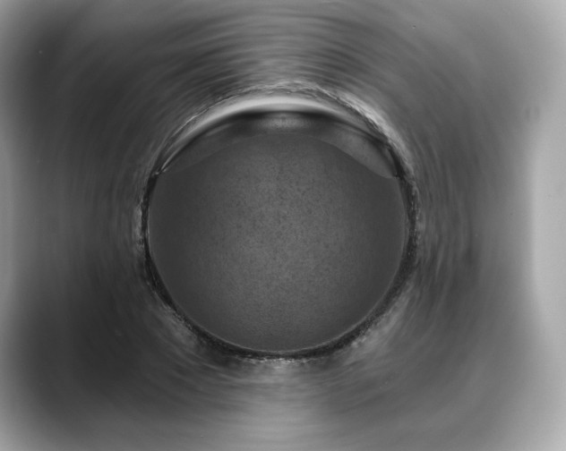 X0000088690881200705311155