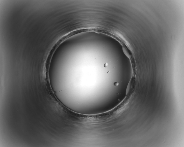 X0000088690883200705311155