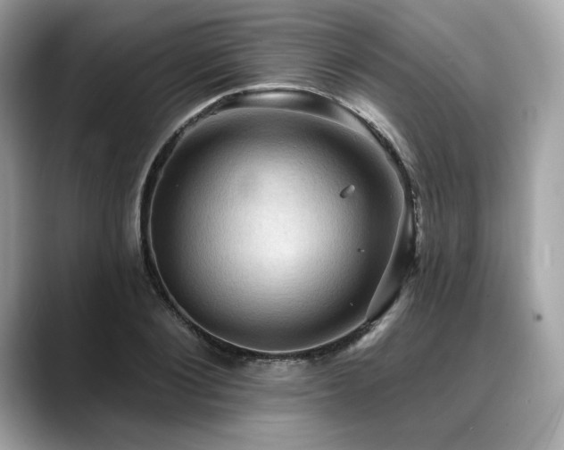 X0000088690884200705311154