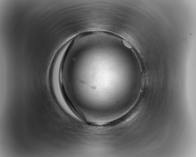 X0000088690885200705311154
