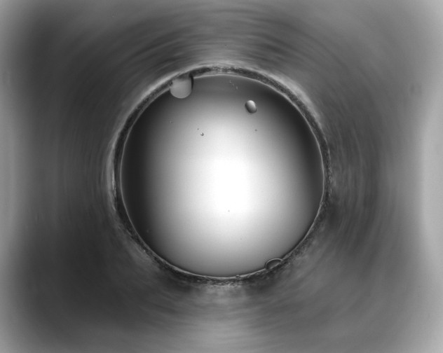 X0000088690887200705311154