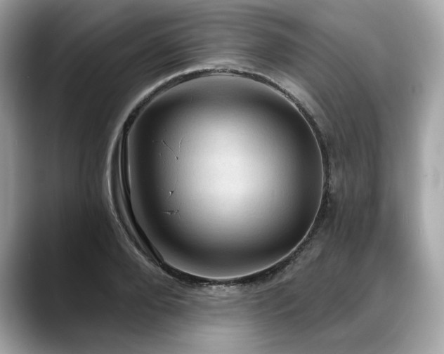 X0000088690888200705311154