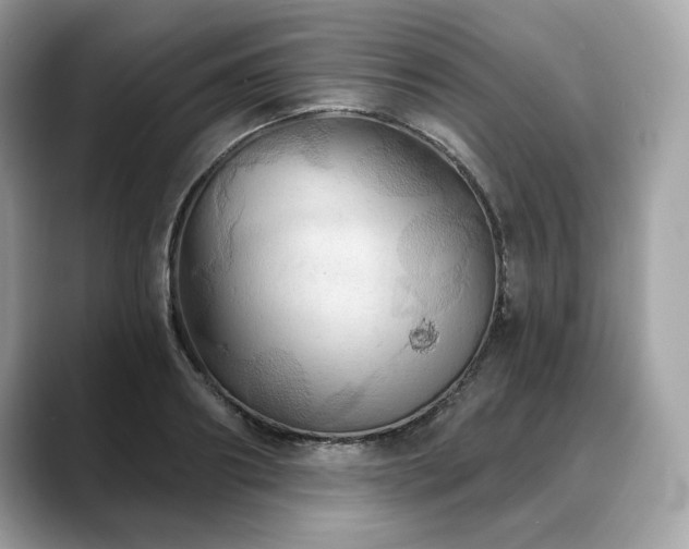 X0000088690890200705311154