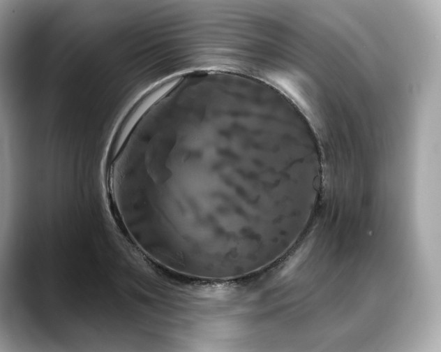 X0000088690891200705311154
