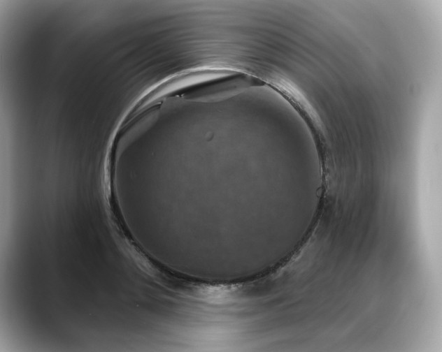 X0000088690892200705311154