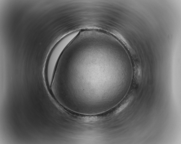X0000088690893200705311154