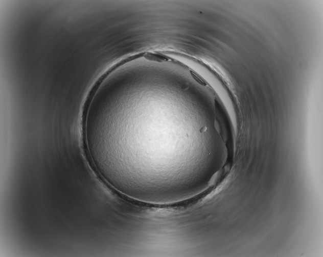 X0000088690894200705311154