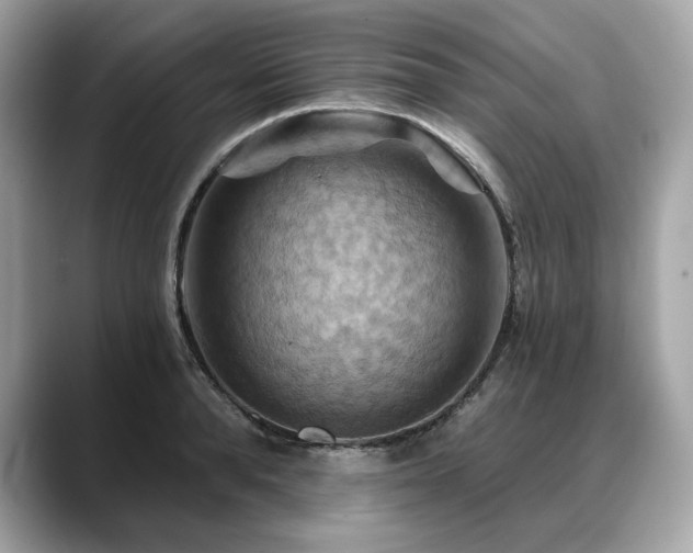 X0000088690896200705311154
