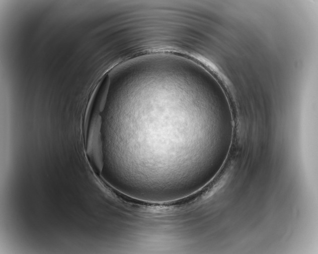 X0000088690897200705311154