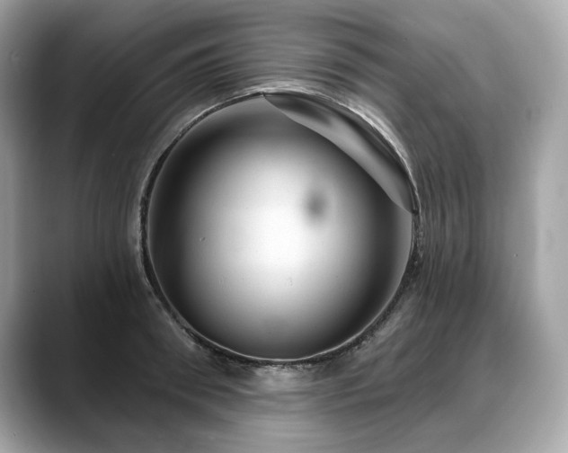 X0000088690898200705311154