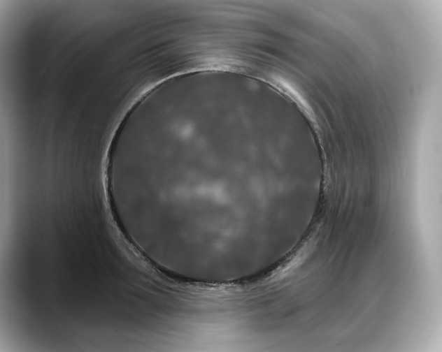 X0000088690899200705311154