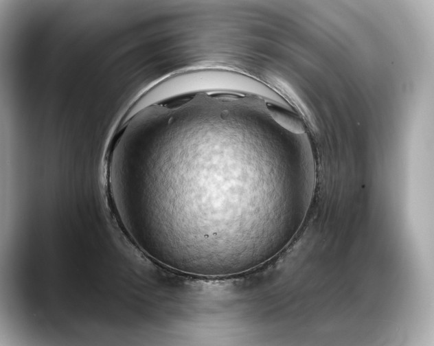 X0000088690900200705311154
