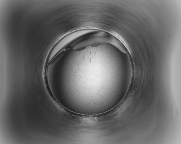 X0000088690901200705311154