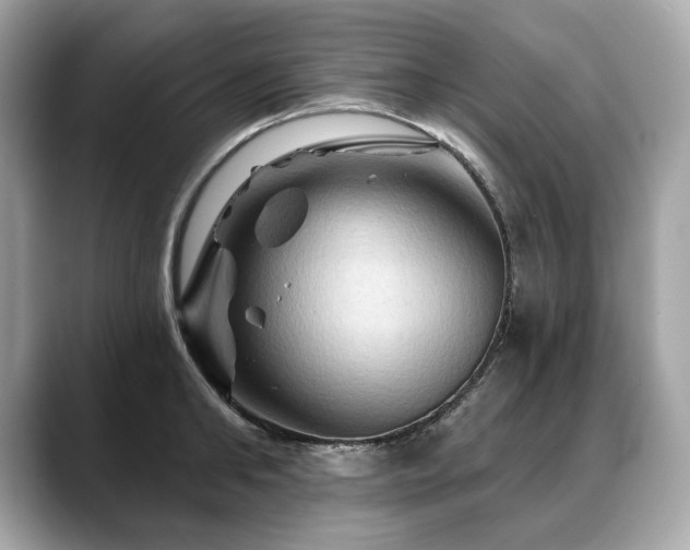 X0000088690902200705311154