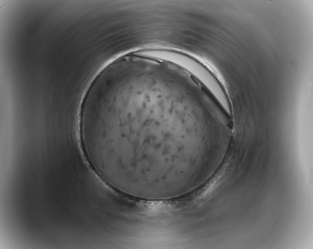 X0000088690903200705311154