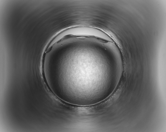 X0000088690904200705311154