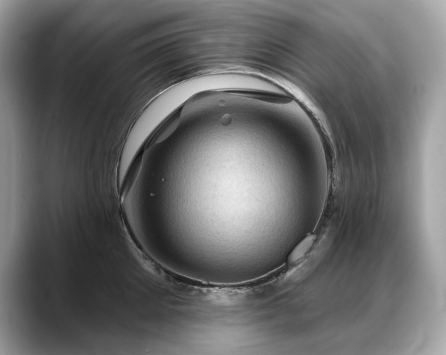 X0000088690905200705311154