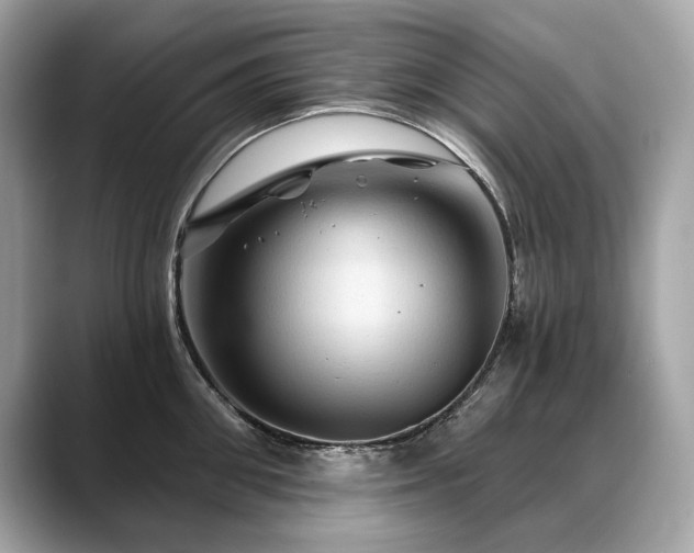 X0000088690906200705311154