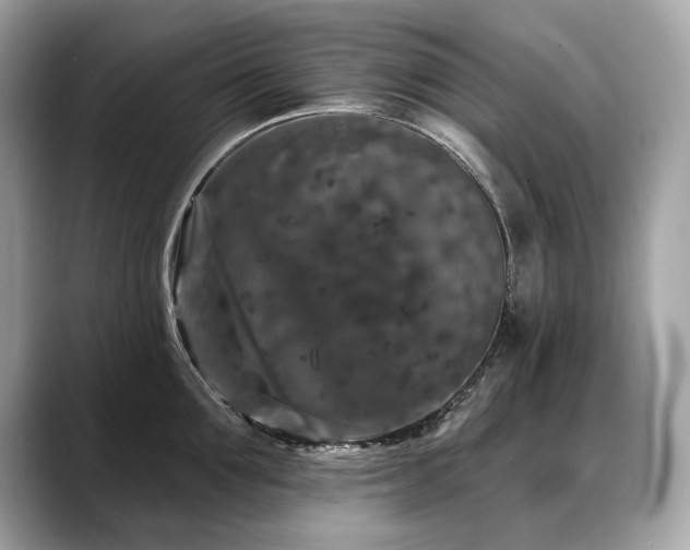 X0000088690907200705311154