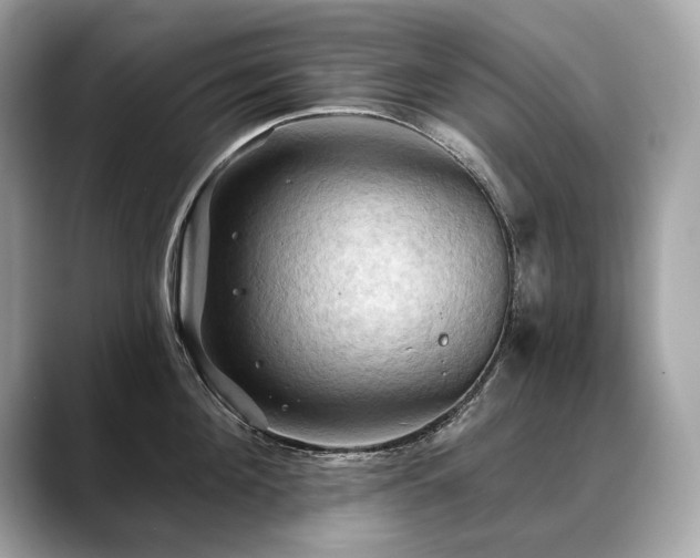 X0000088690908200705311154