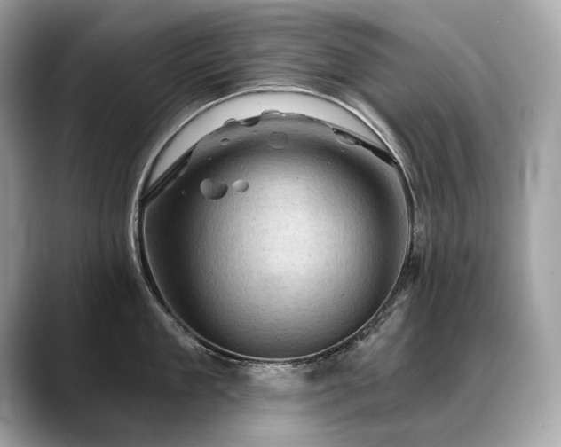 X0000088690909200705311154