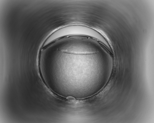 X0000088690910200705311154