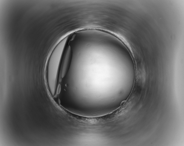 X0000088690911200705311154