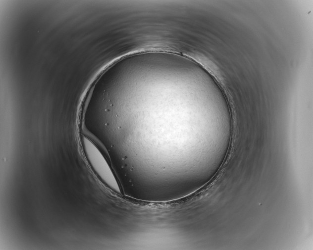 X0000088690912200705311154