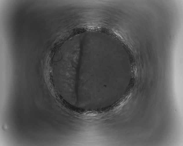 X0000088690913200705311154