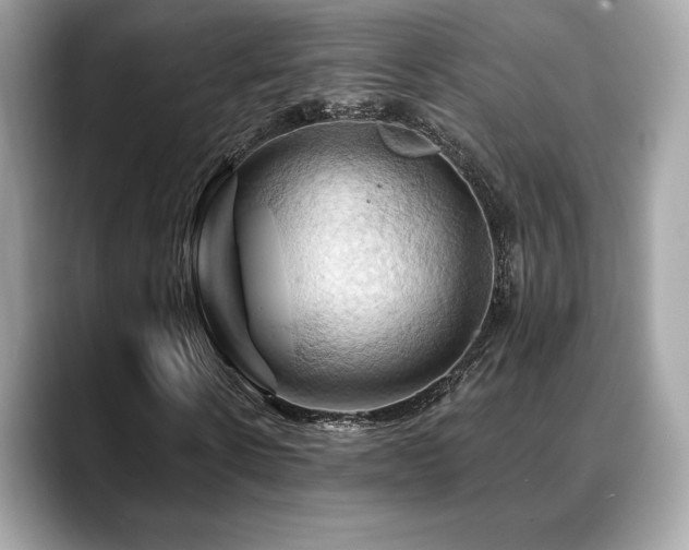 X0000088690914200705311154