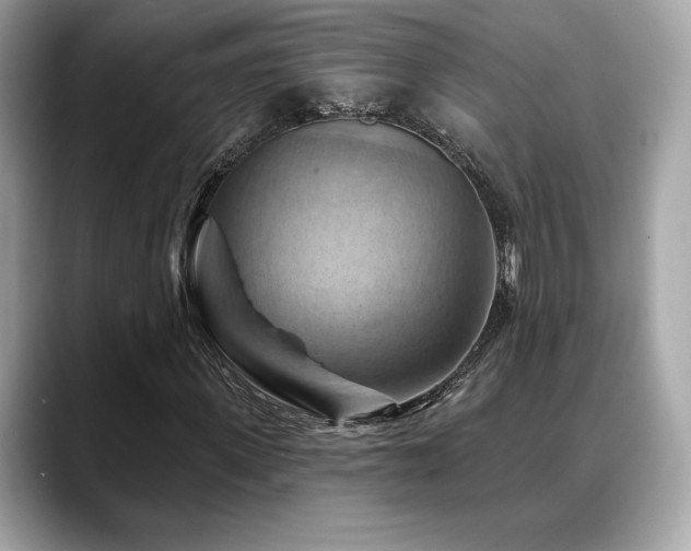 X0000088690915200705311154