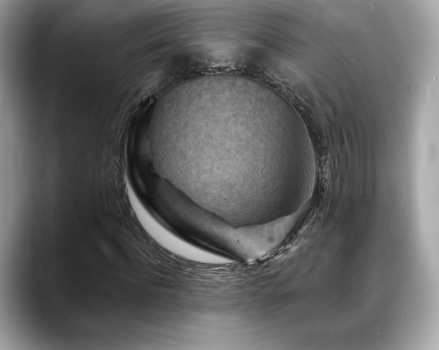 X0000088690916200705311154