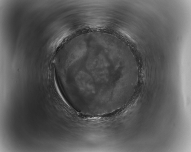 X0000088690917200705311154