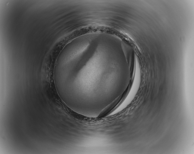 X0000088690919200705311154