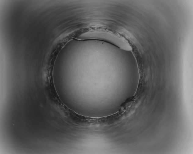 X0000088690920200705311154