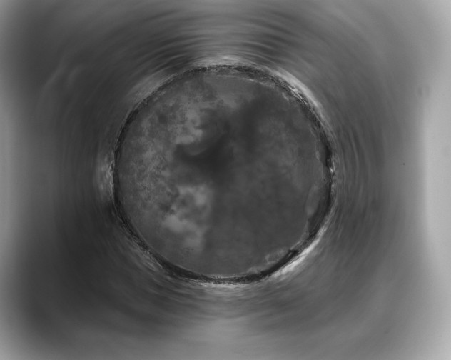 X0000088690921200705311154